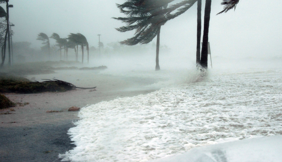 Storm Readiness For Floridian